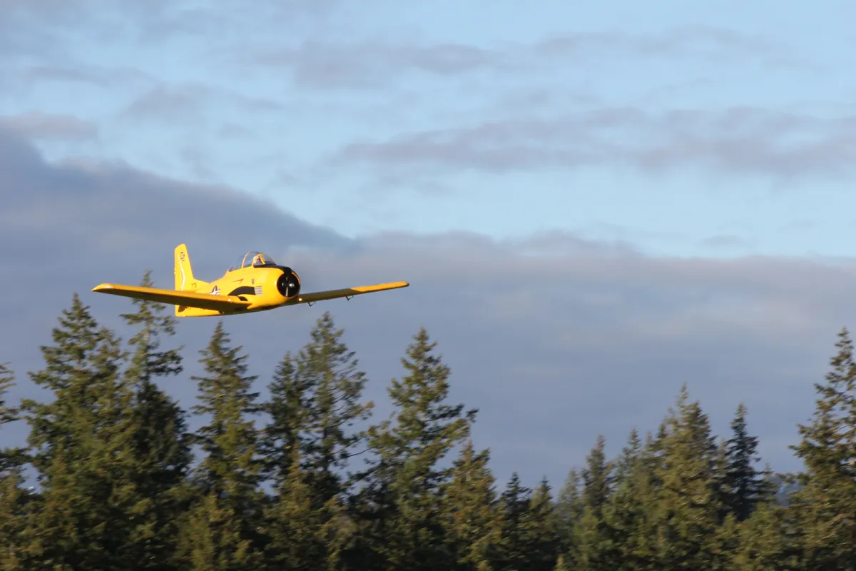 Lake Sawyer Hawks flying field